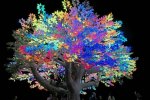 tree-of-tc3a9nc3a9rc3a9-at-night-burning-man-2017_orig.jpg