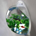 Wall-Mounted-Hanging-Acrylic-Mini-Fish-Tank-Aquarium-Multifunction-Fish-Bowls-Wall-Sticker-Pla...jpg