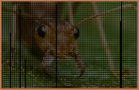 1634786182935.png