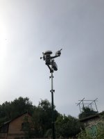 IMG_2982.jpeg